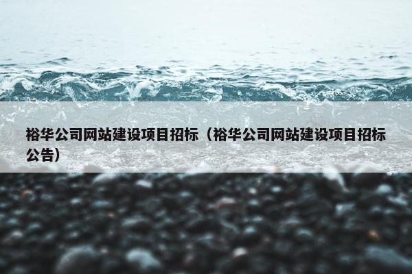 裕华公司网站建设项目招标（裕华公司网站建设项目招标公告）
