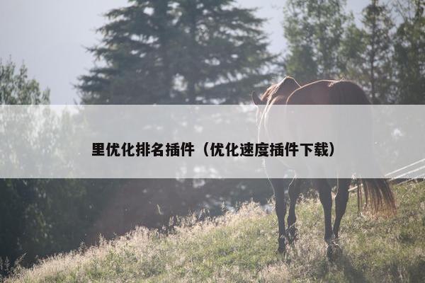 里优化排名插件（优化速度插件下载）