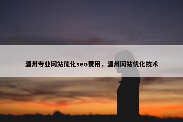 温州专业网站优化seo费用，温州网站优化技术