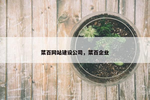 菜百网站建设公司，菜百企业