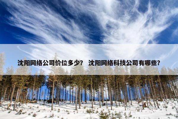 沈阳网络公司价位多少？ 沈阳网络科技公司有哪些？