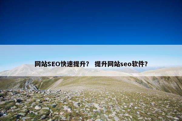 网站SEO快速提升？ 提升网站seo软件？