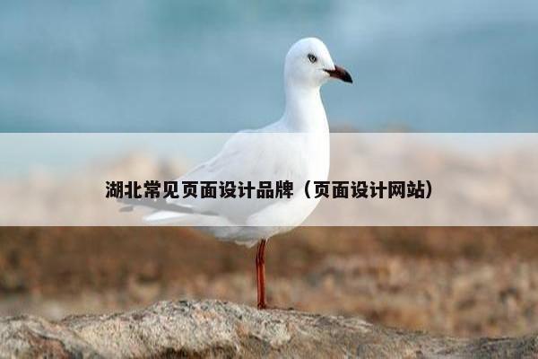 湖北常见页面设计品牌（页面设计网站）