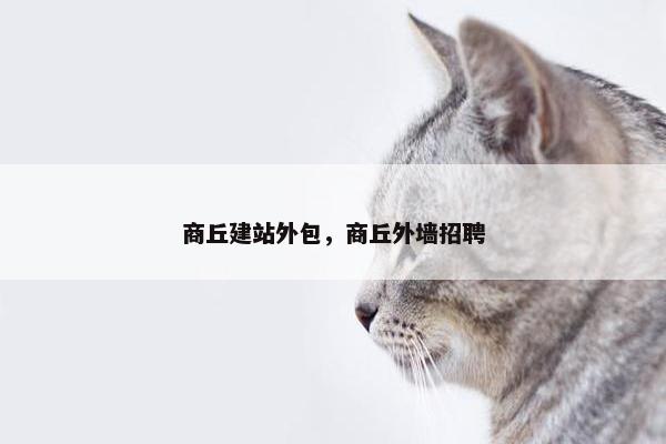 商丘建站外包，商丘外墙招聘