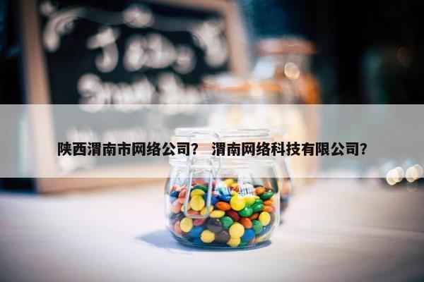 陕西渭南市网络公司？ 渭南网络科技有限公司？