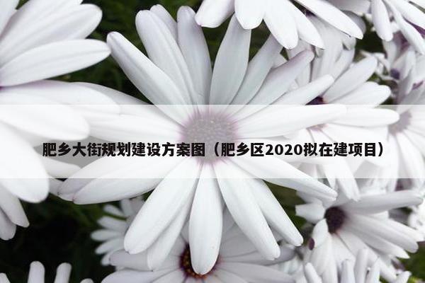 肥乡大街规划建设方案图（肥乡区2020拟在建项目）