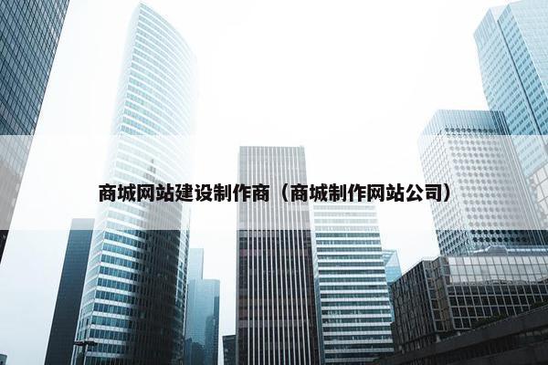 商城网站建设制作商（商城制作网站公司）