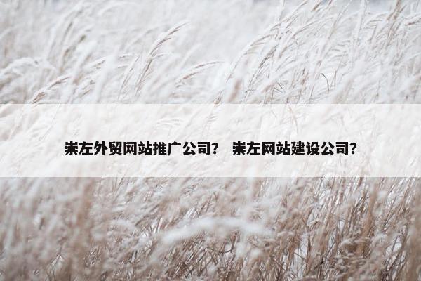 崇左外贸网站推广公司？ 崇左网站建设公司？