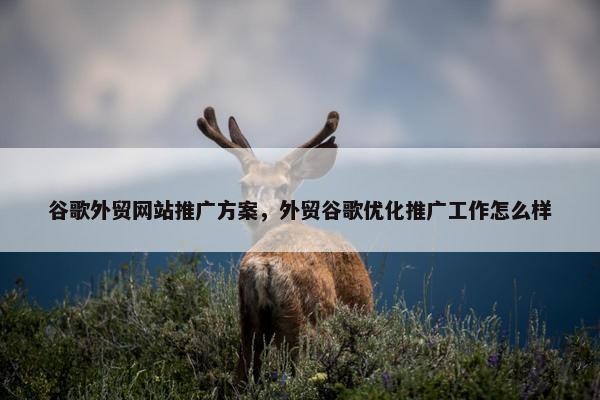 谷歌外贸网站推广方案，外贸谷歌优化推广工作怎么样