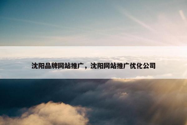 沈阳品牌网站推广，沈阳网站推广优化公司