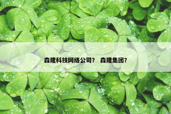 森隆科技网络公司？ 森隆集团？