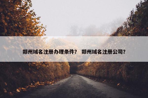 郑州域名注册办理条件？ 郑州域名注册公司？