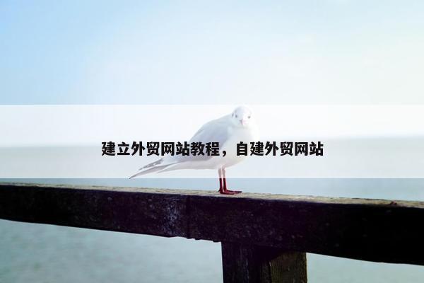 建立外贸网站教程，自建外贸网站