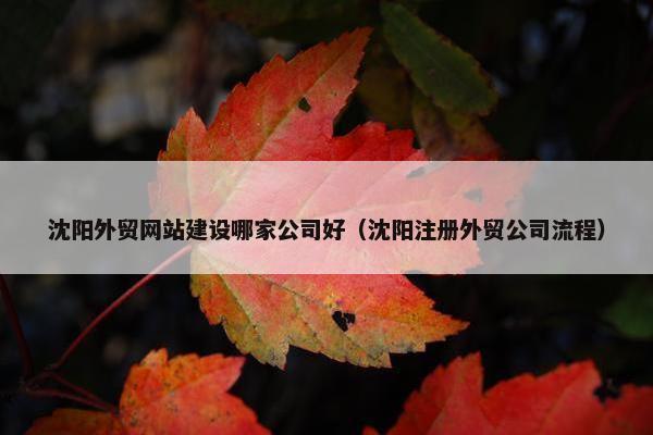 沈阳外贸网站建设哪家公司好（沈阳注册外贸公司流程）