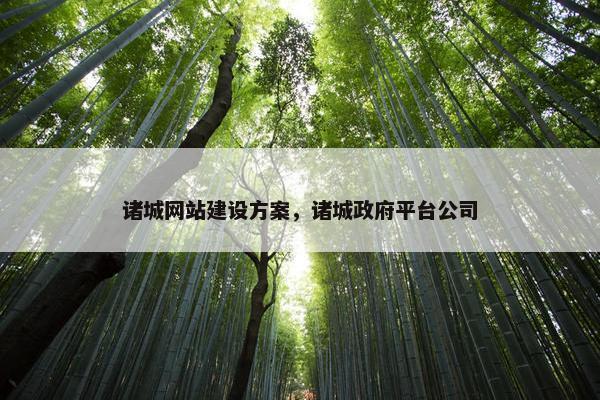 诸城网站建设方案，诸城政府平台公司