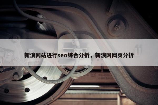 新浪网站进行seo综合分析，新浪网网页分析