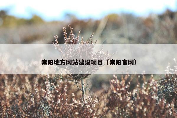 崇阳地方网站建设项目（崇阳官网）