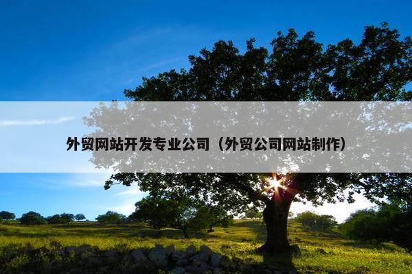 外贸网站开发专业公司（外贸公司网站制作）
