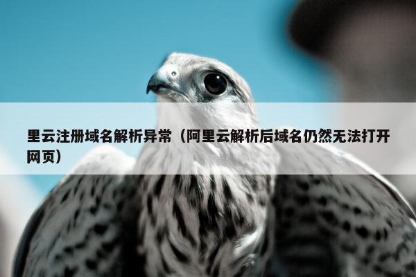 里云注册域名解析异常（阿里云解析后域名仍然无法打开网页）