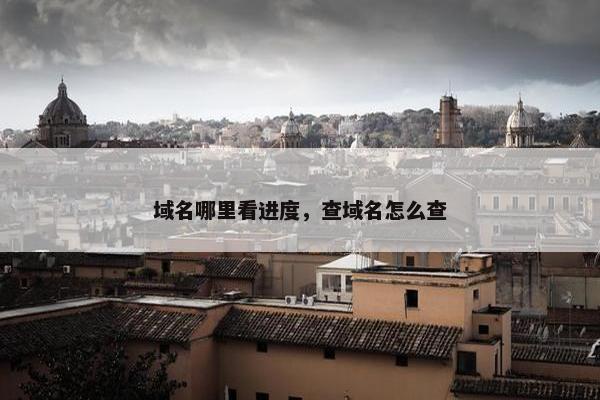 域名哪里看进度，查域名怎么查
