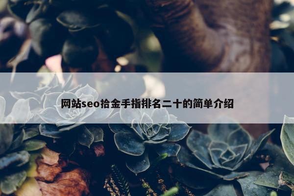 网站seo拾金手指排名二十的简单介绍
