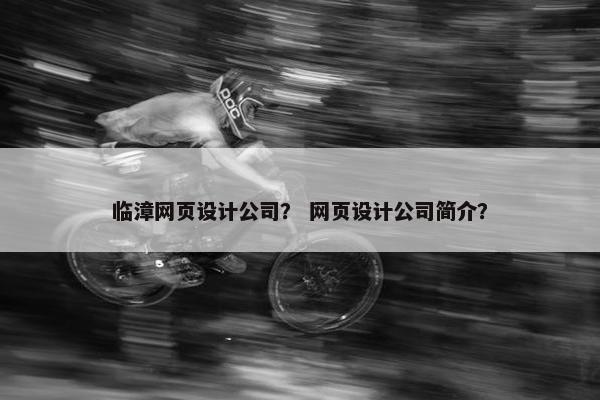 临漳网页设计公司？ 网页设计公司简介？