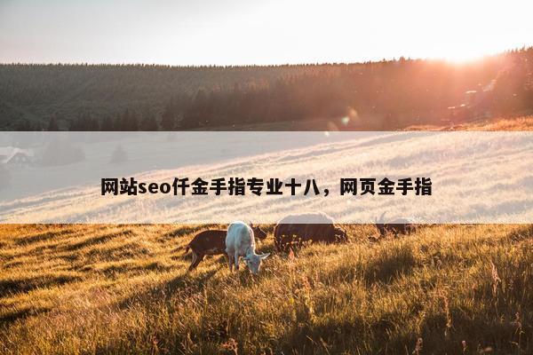 网站seo仟金手指专业十八，网页金手指
