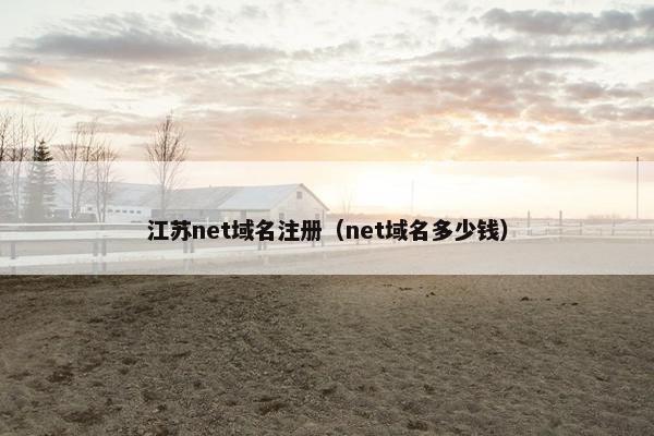 江苏net域名注册（net域名多少钱）