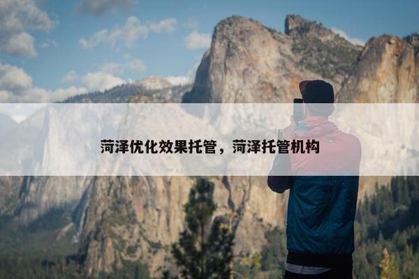 菏泽优化效果托管，菏泽托管机构