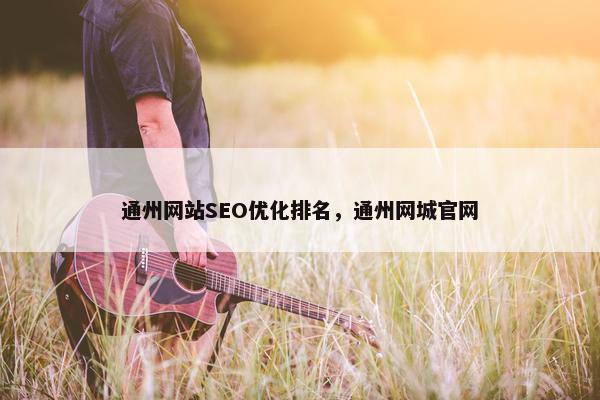 通州网站SEO优化排名，通州网城官网