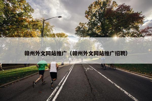 赣州外文网站推广（赣州外文网站推广招聘）