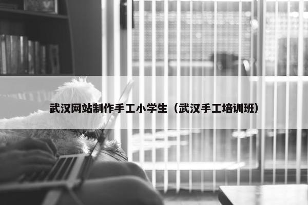 武汉网站制作手工小学生（武汉手工培训班）