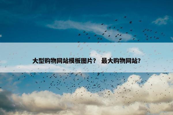 大型购物网站模板图片？ 最大购物网站？