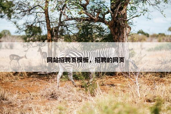 网站招聘页模板，招聘的网页