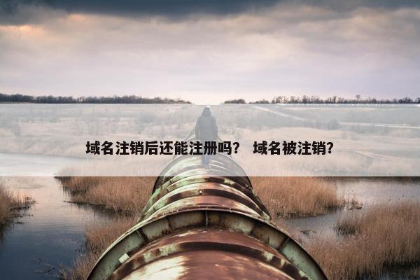 域名注销后还能注册吗？ 域名被注销？