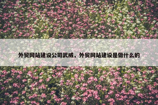 外贸网站建设公司武威，外贸网站建设是做什么的