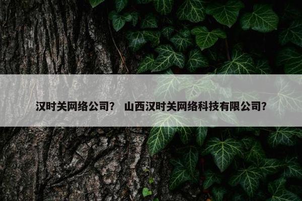 汉时关网络公司？ 山西汉时关网络科技有限公司？