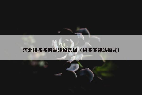 河北拼多多网站建设选择（拼多多建站模式）