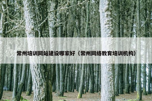 常州培训网站建设哪家好（常州网络教育培训机构）