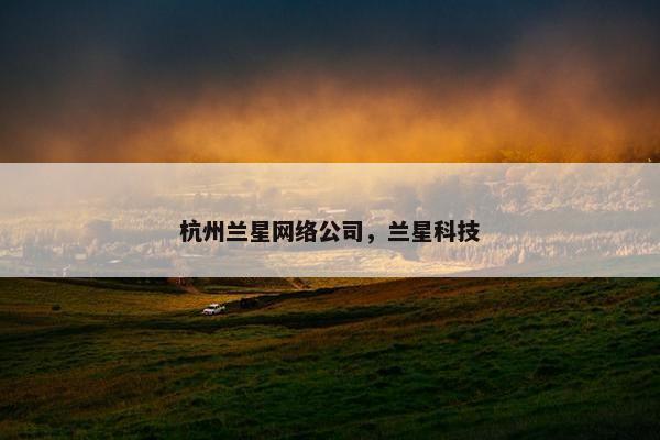 杭州兰星网络公司，兰星科技