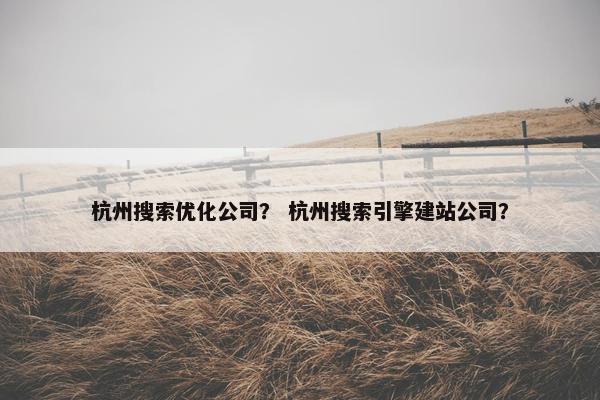 杭州搜索优化公司？ 杭州搜索引擎建站公司？