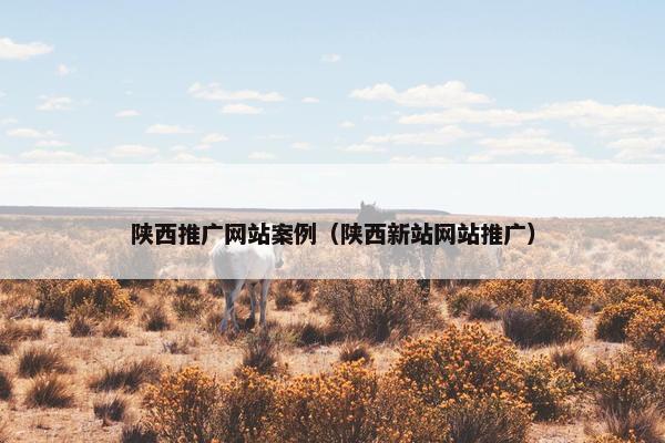 陕西推广网站案例（陕西新站网站推广）