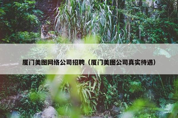 厦门美图网络公司招聘（厦门美图公司真实待遇）
