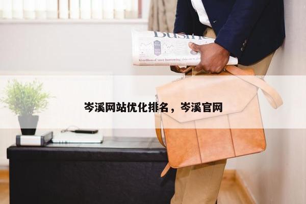岑溪网站优化排名，岑溪官网