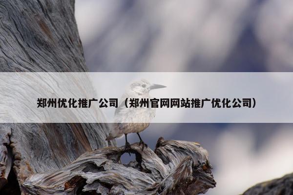 郑州优化推广公司（郑州官网网站推广优化公司）
