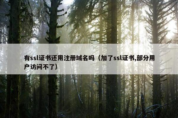 有ssl证书还用注册域名吗（加了ssl证书,部分用户访问不了）