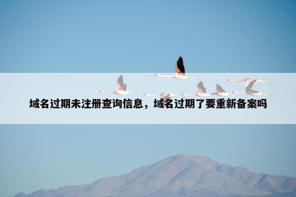 域名过期未注册查询信息，域名过期了要重新备案吗