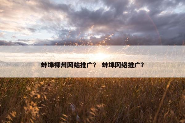 蚌埠柳州网站推广？ 蚌埠网络推广？