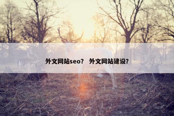 外文网站seo？ 外文网站建设？
