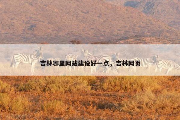 吉林哪里网站建设好一点，吉林网页
